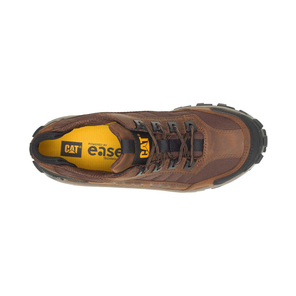 Caterpillar Invader Steel Toe Steel Toe Shoes Férfi Sötétbarna | 1034-ZRUWX